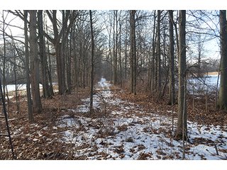 Property photo 15 - FARMLAND AUCTION, 60+/- Acres in 6 Tracts ranging from 4 to 20 acres & in combinations!